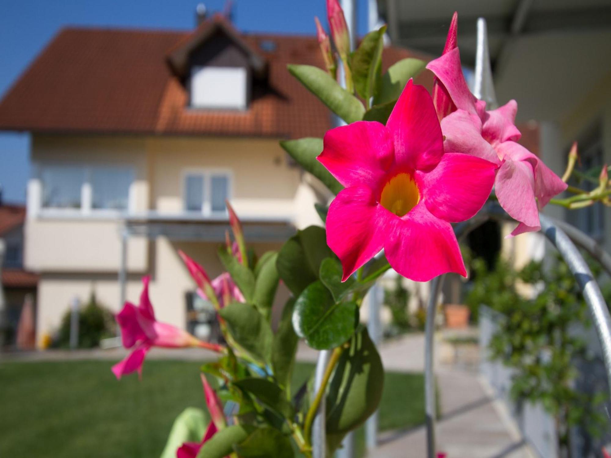 Obst- Und Ferienhof Witzigmann Wasserburg Exteriér fotografie